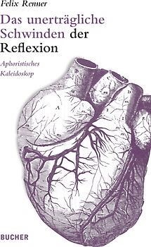 Das unerträgliche Schwinden der Reflexion