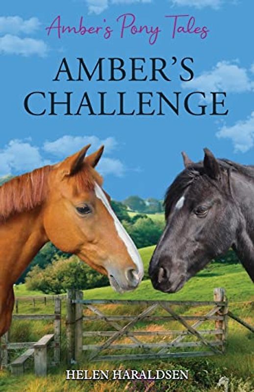 Amber's Challenge (Amber's Pony Tales, Band 4)