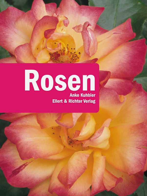 Rosen