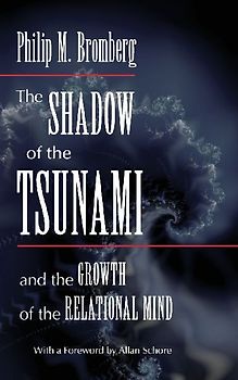 The Shadow of the Tsunami