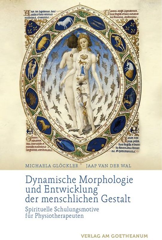 Dynamische Morphologie und Entwicklung der menschlichen Gestalt