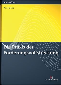 Die Praxis der Forderungsvollstreckung