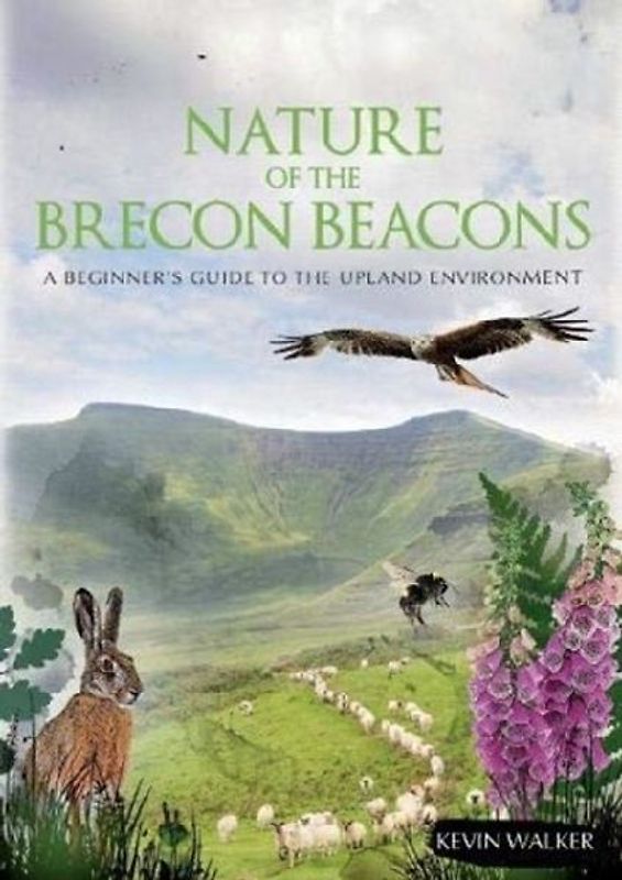 Nature of the Brecon Beacons