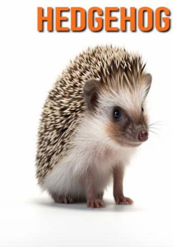 Hedgehog: Fun Facts Book for Kids with Amazing Photos