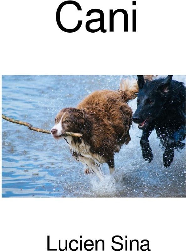Cani