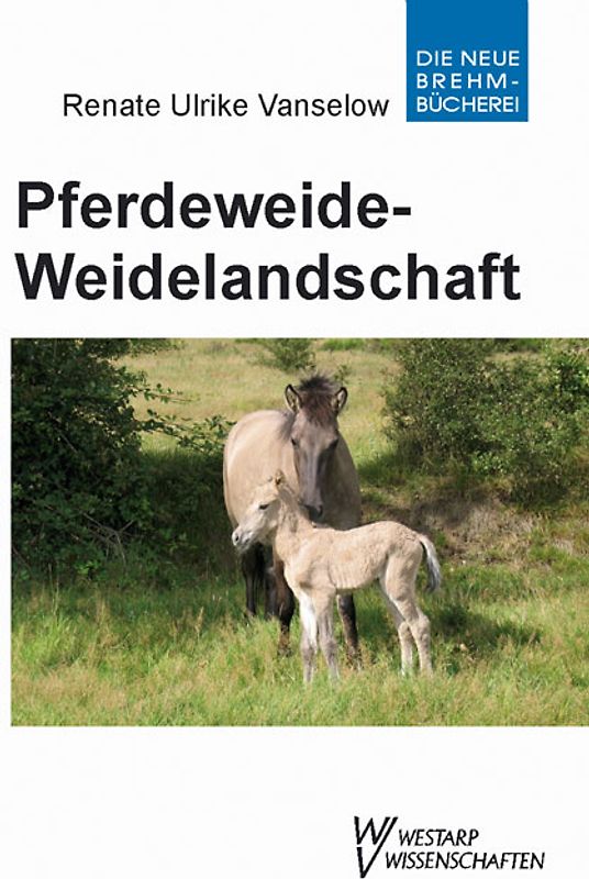 Pferdeweide-Weidelandschaft
