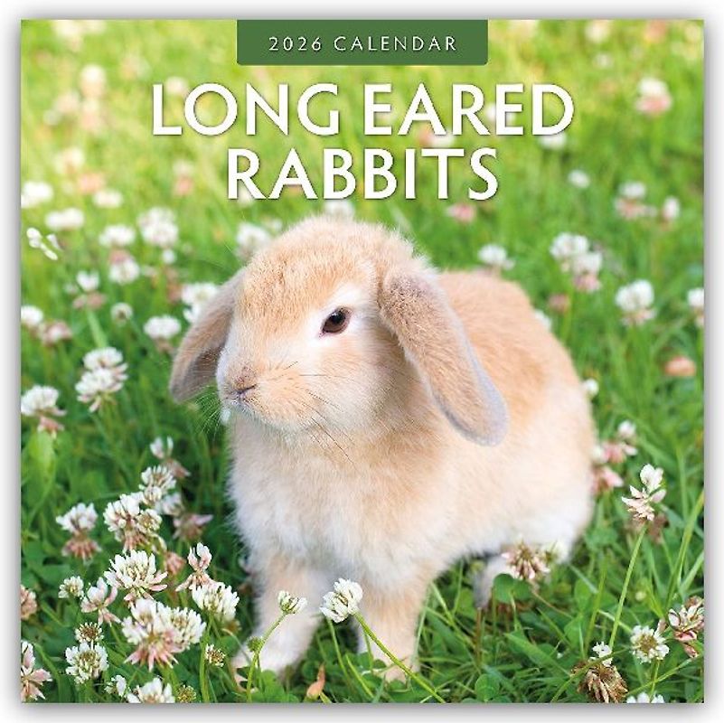 Long Eared Rabbits 2026 Square Wall Calendar