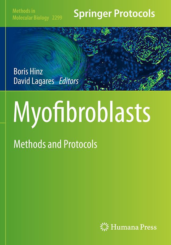Myofibroblasts
