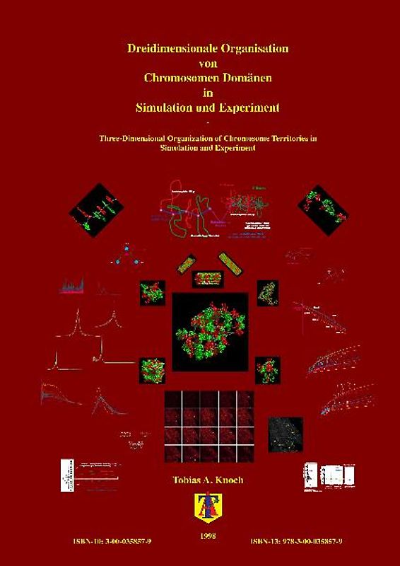 Dreidimensionale Organisation von Chromosomen-Domänen in Simulation und Experiment