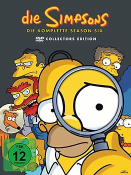 Simpsons Season 6 Box Set [4 DVDs] DVD