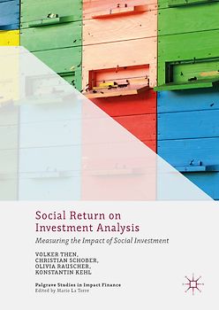 Social Return on Investment Analysis