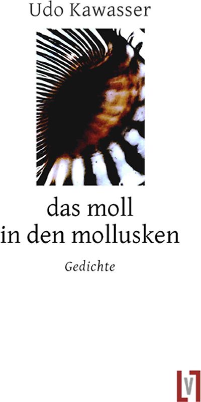das moll in den mollusken