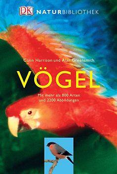 Vögel