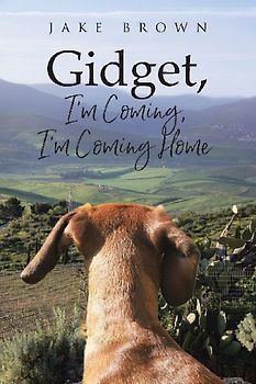 Gidget, I'm Coming, I'm Coming Home