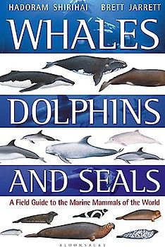Whales, Dolphins and Seals