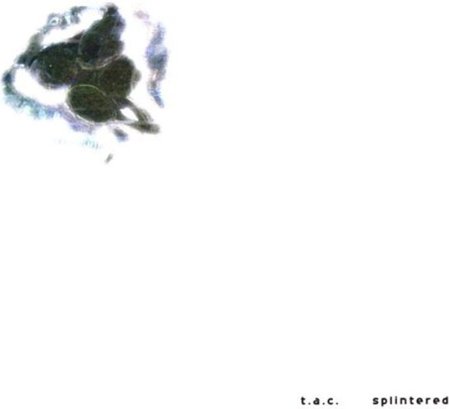 T.a.C. - Splintered