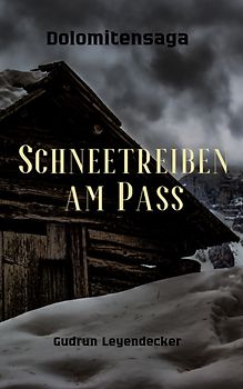 Schneetreiben am Pass