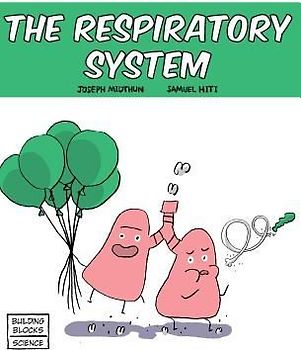 The Respiratory System