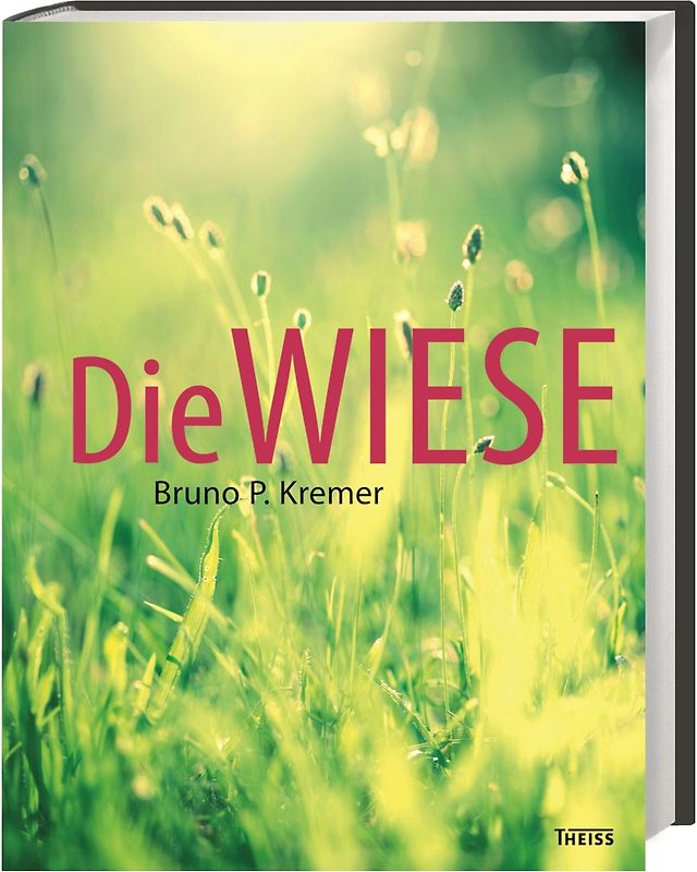 Die Wiese