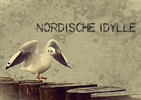 Nordische Idylle (Tischaufsteller DIN A5 quer)