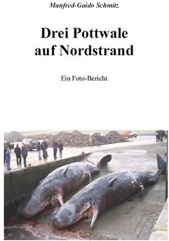 Drei Pottwale auf Nordstrand