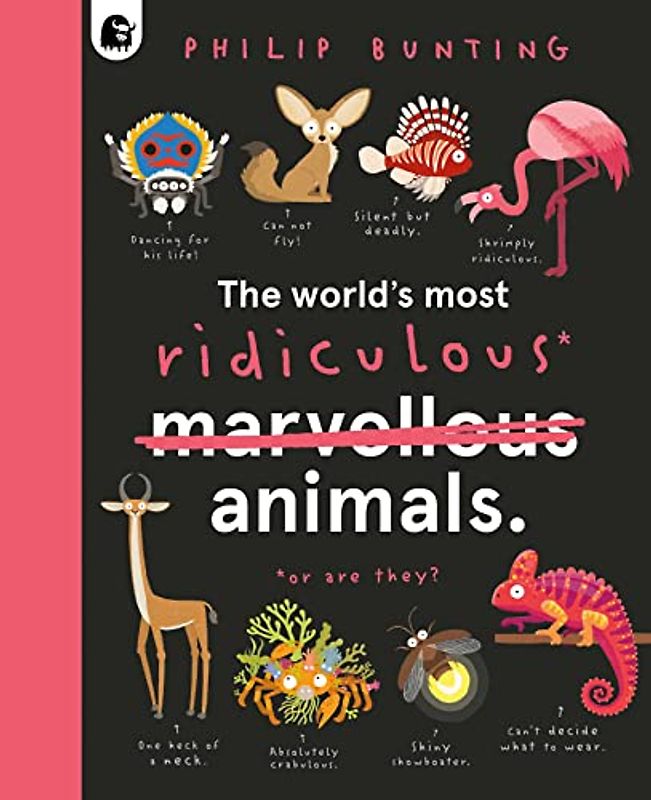 The World's Most Ridiculous Animals (2)