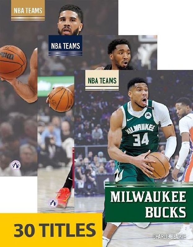 NBA Teams (Set of 30)