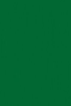 Werke und Briefe. Wissenschaftliche Ausgabe / Erzählungen und Romane I (Werke 1)