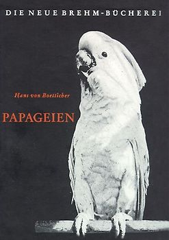 Papageien