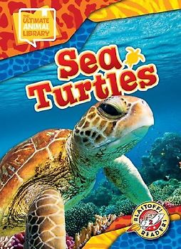 Sea Turtles