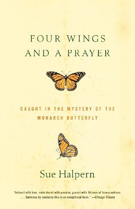 Four Wings and a Prayer