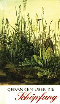 Gedanken über die Schöpfung