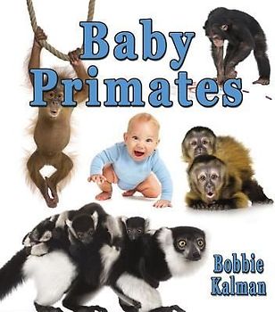 Baby Primates