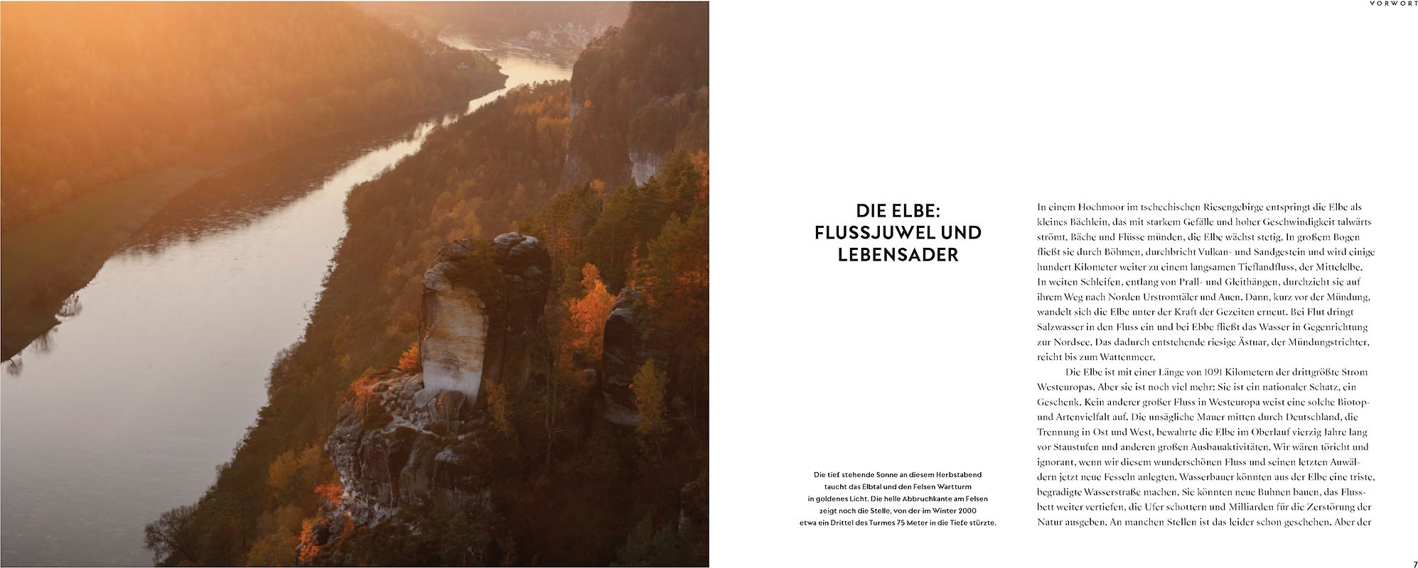 Schneidetechniken [Illustrierte Ausgabe inkl. 4 Musterbögen zum Ausschneiden] (Basteln & Dekorieren Special)