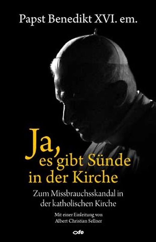 Ja, es gibt Sünde in der Kirche