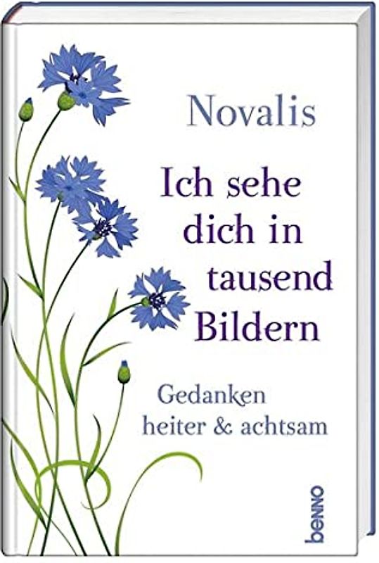 Ich sehe dich in tausend Bildern