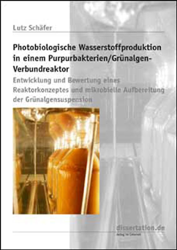 Photobiologische Wasserstoffproduktion in einem Purpurbakterien /Grünalgen-Verbundreaktor