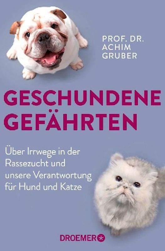 Geschundene Gefährten
