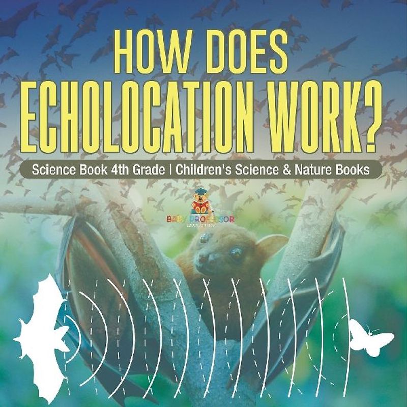 How Does Echolocation Work? Science Book 4th Grade | Children's Science & Nature Books