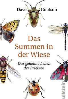 Das Summen in der Wiese
