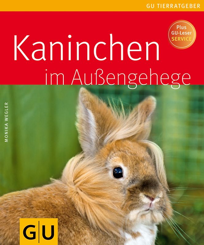 Kaninchen im Außengehege