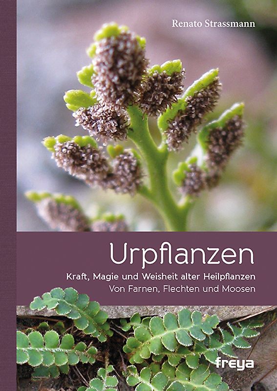 Urpflanzen