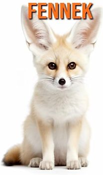 Fennek: Buch mit lustigen Fakten für Kinder mit tollen Fotos