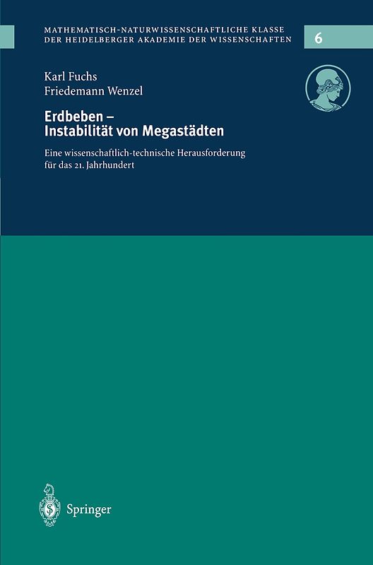 Erdbeden — Instabilität von Megastädten