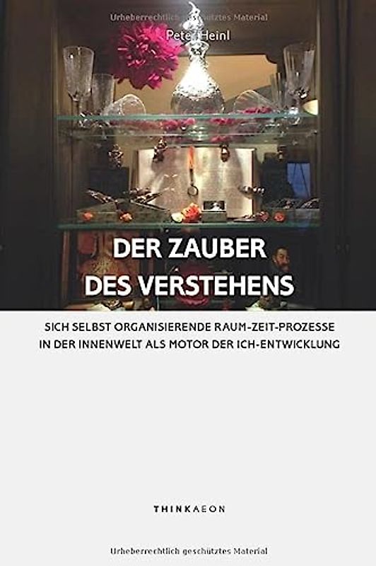Der Zauber des Verstehens: Sich selbst organisierende Raum-Zeit-Prozesse in der Innenwelt als Motor der Ich-Entwicklung