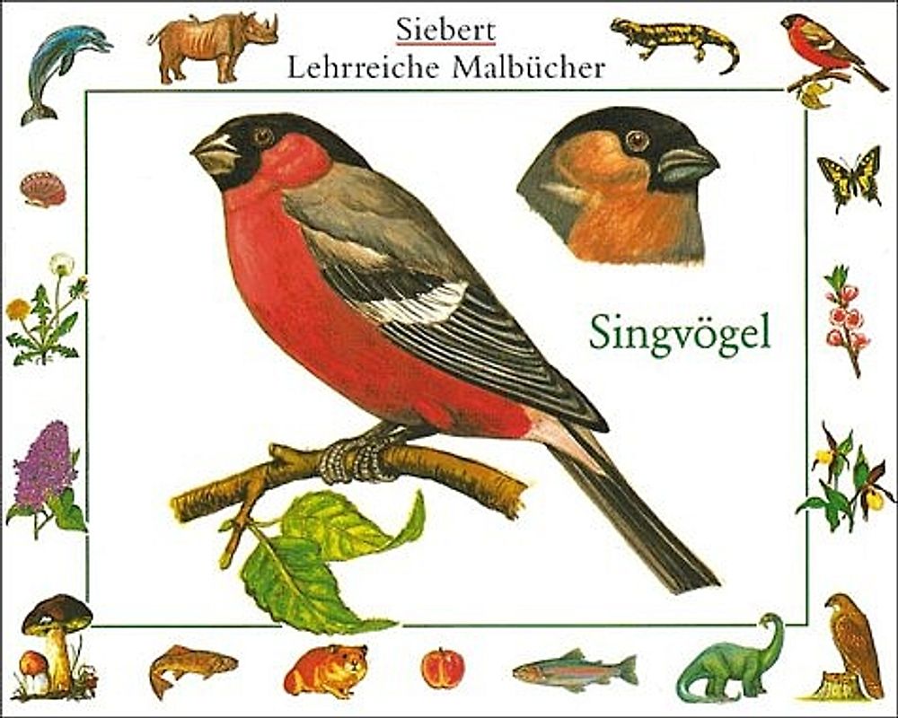 Singvögel. Malbuch. Verpackungseinheit
