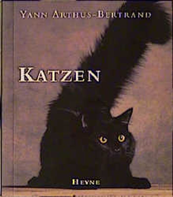 Katzen