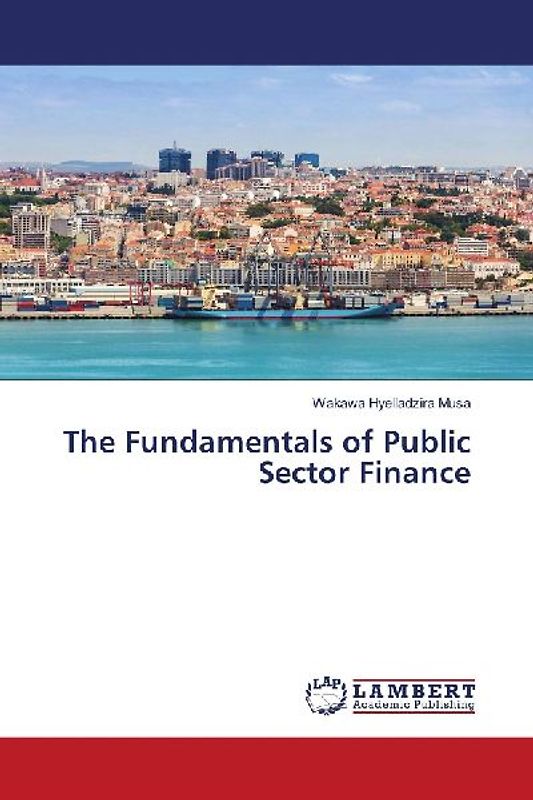 The Fundamentals of Public Sector Finance