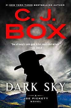 Dark Sky (A Joe Pickett Novel, Band 21)
