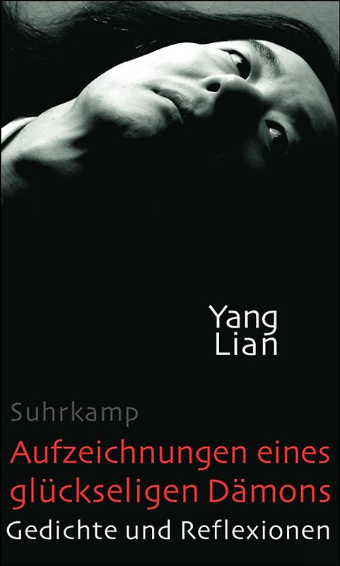 Aufzeichnungen eines glückseligen Dämons